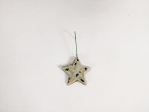 Star Ornament 6